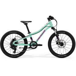 MATTS J.20" Mint