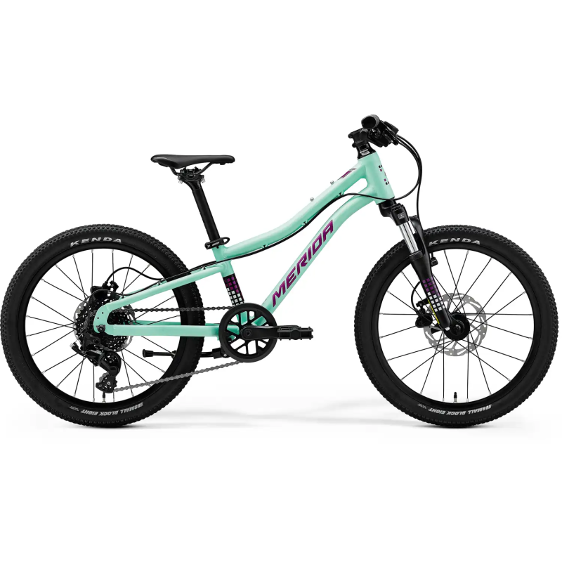 MATTS J.20" Mint